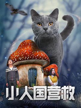 清晰在线播放观看