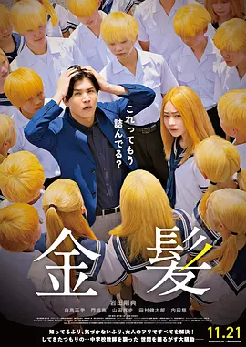 完结高清影视