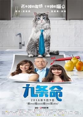全集免费观看超清