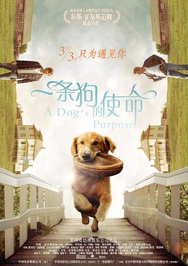 高清版在线观看