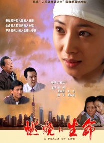 中文字幕在线手机播放