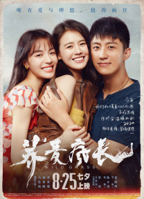 BD高清免费观看